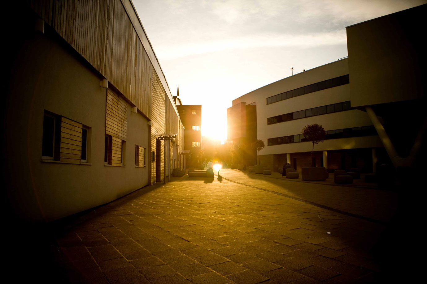 Landscape shot of the University Plaza at sundown