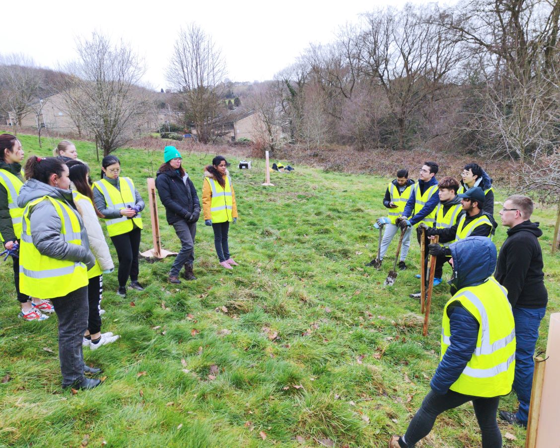 Tree planting-Debrief