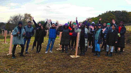 Tree planting modal