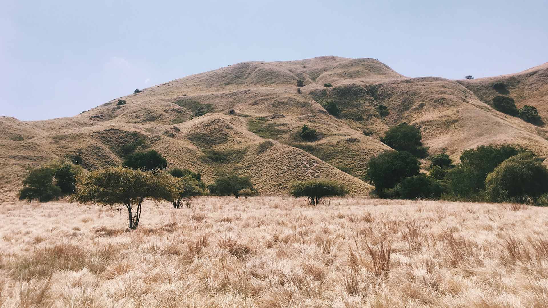 A clearing in the countryside in the Middle East.