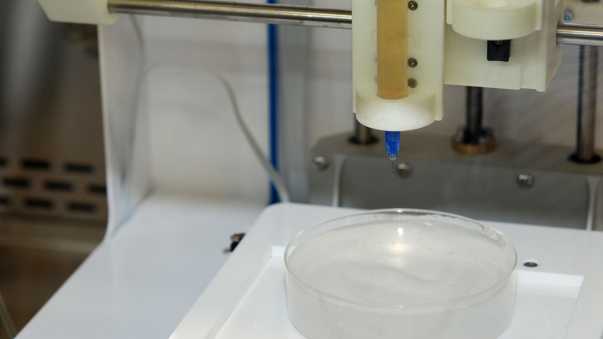 3D bioprinting