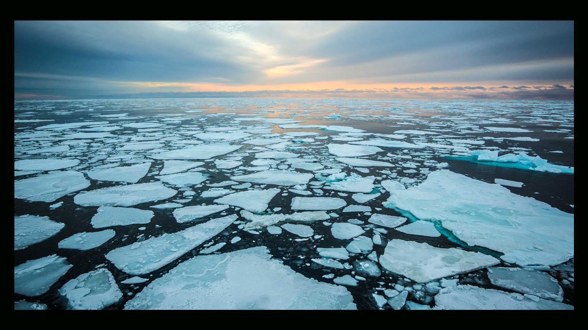 Arctic sea ice