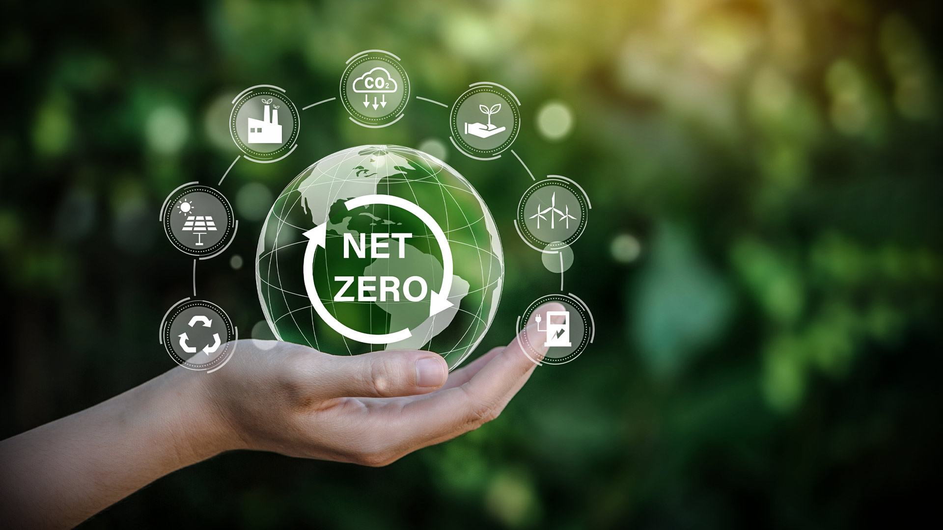 Green leafy background with a hand holding a clear ball saying Net Zero above an arrow facing downwards